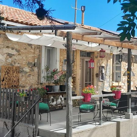 Sur La Bonnefooi Bed & Breakfast Prades-sur-Vernazobre Eksteriør bilde