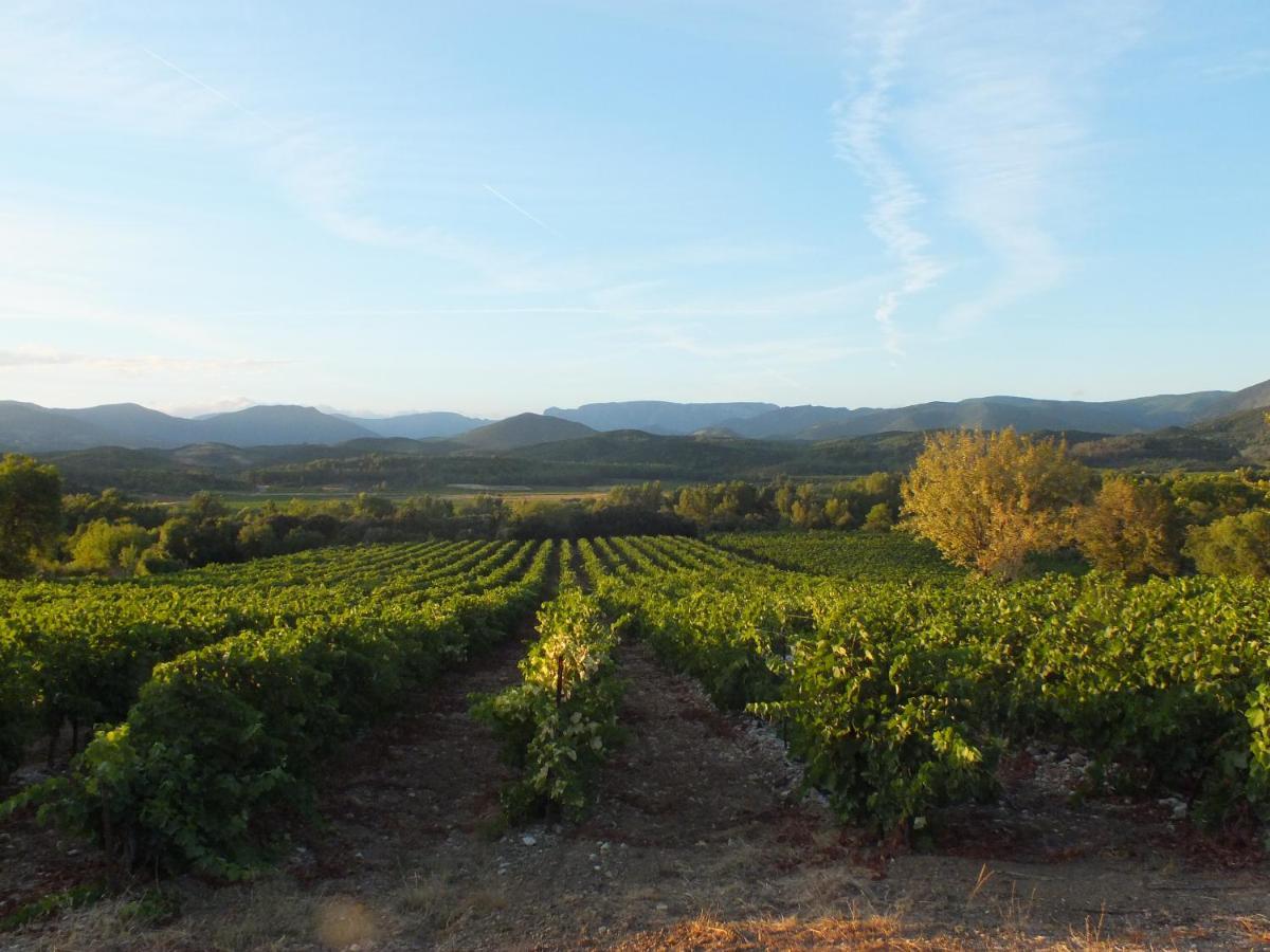 Sur La Bonnefooi Bed & Breakfast Prades-sur-Vernazobre Eksteriør bilde